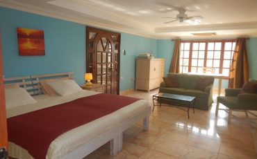 Caribbean 8 bedroom vacation rentals