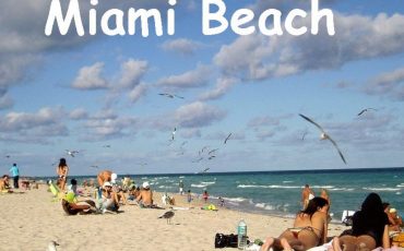 Miami Beach Vacation Home Rentals by Owner