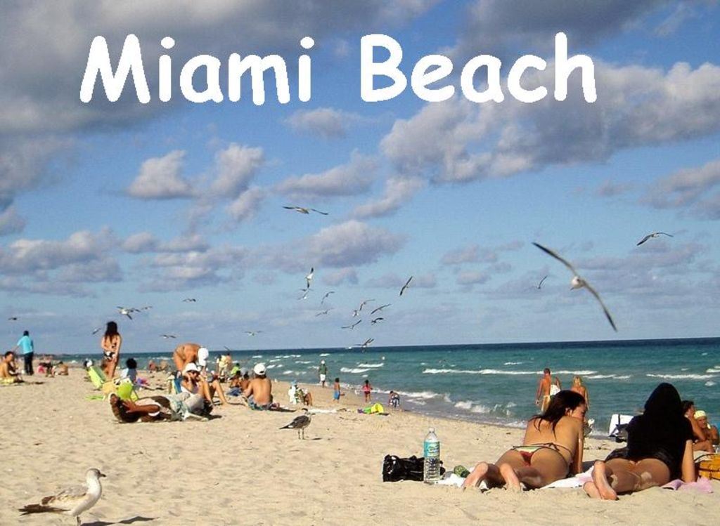 Miami Beach Vacation Home Rentals by Owner