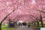 New York Vacation Rentals